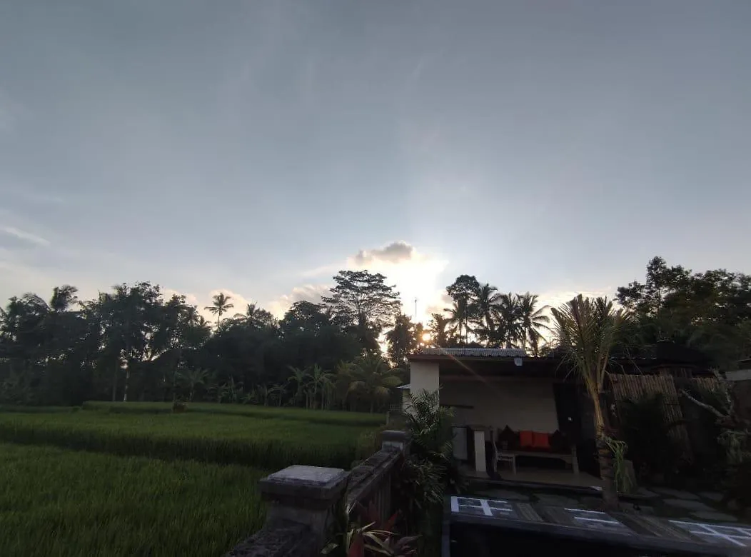 Anggarakasih Ubud Villa 0*, Ubud (Bali)