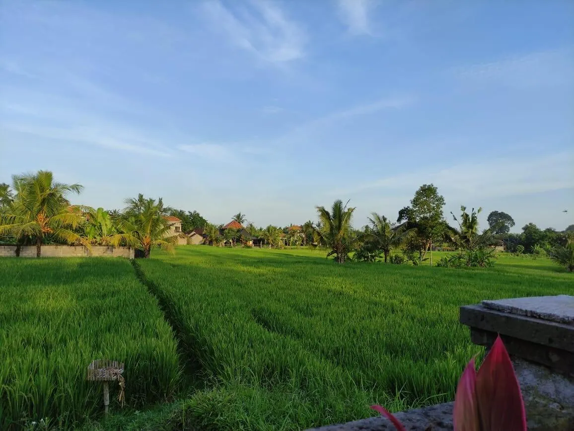 Anggarakasih Ubud Villa 0*, Ubud (Bali) Indonesia